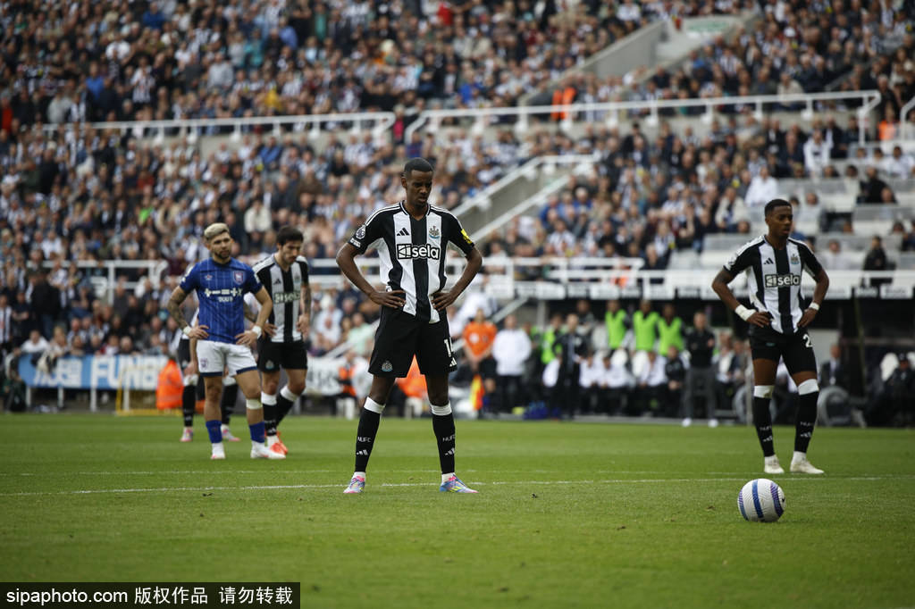 籃球愛好者 籃球愛好者