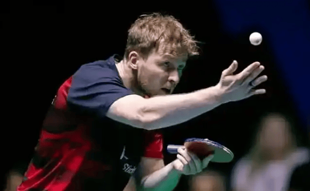 示出了他们 示出了他们